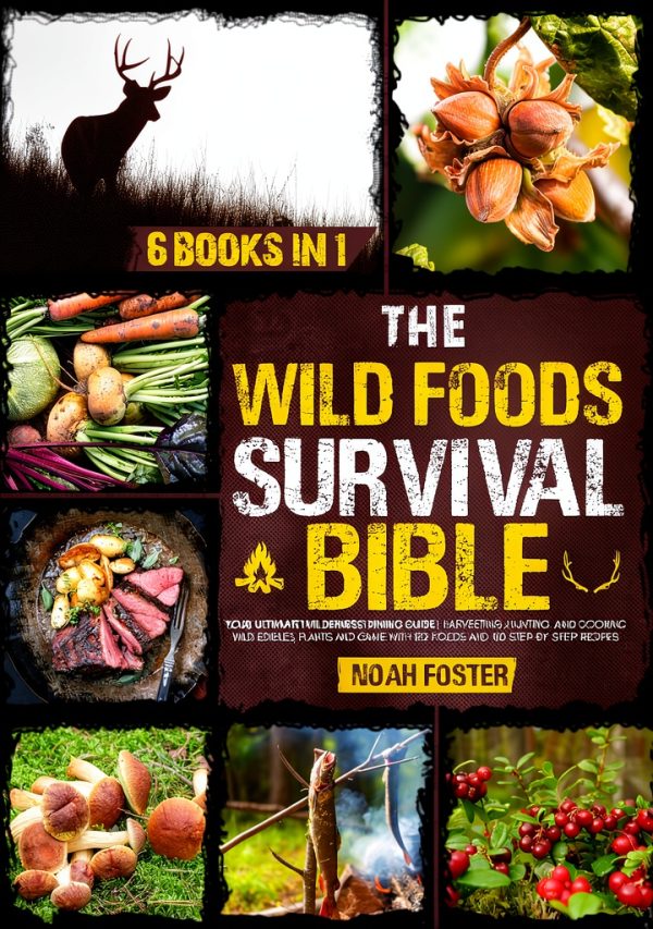 Camping Survival Memoir by PublishDrive – 308‑Page Kindle Edition-0